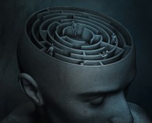 The psychology of the maze