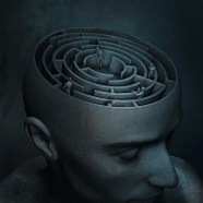 The psychology of the maze