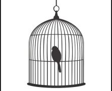 birdcage