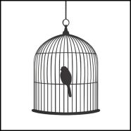 birdcage