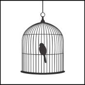 birdcage