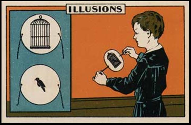 Magic Birdcage Trick