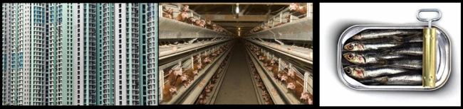 Modern Living Metaphors