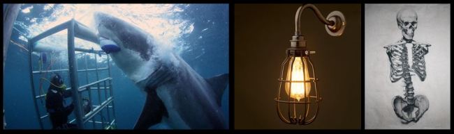 Protective Cage Symbolism