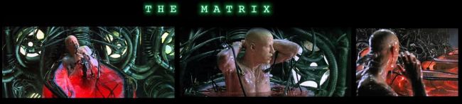 The Matrix