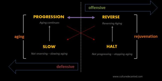 semiotic square of ageing in advertising